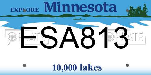 ESA813 Minnesota License Plate