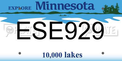 ESE929 Minnesota License Plate