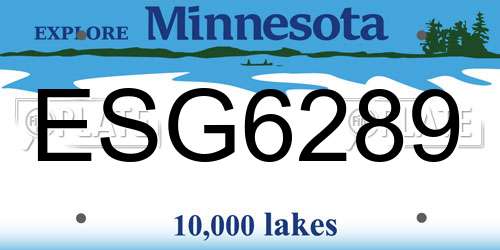 ESG6289 Minnesota License Plate
