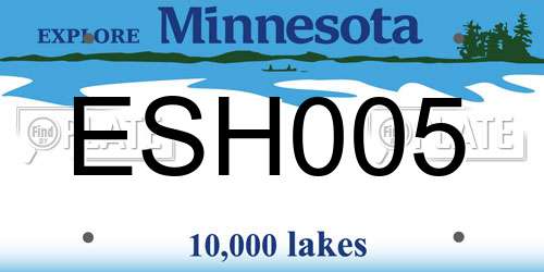 ESH005 Minnesota License Plate
