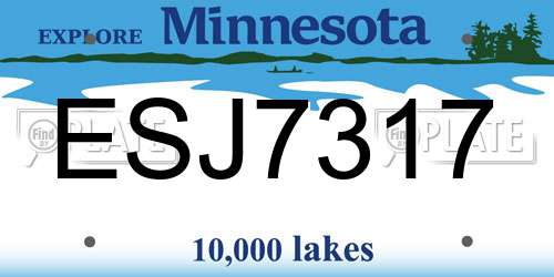 ESJ7317 Minnesota License Plate