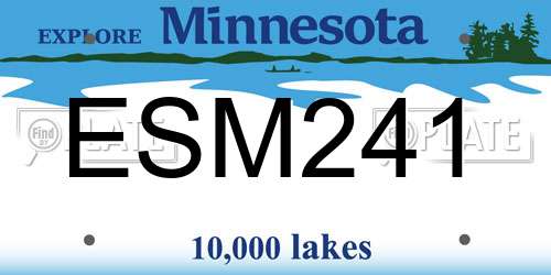 ESM241 Minnesota License Plate