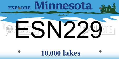 ESN229 Minnesota License Plate