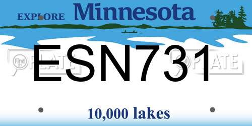 ESN731 Minnesota License Plate