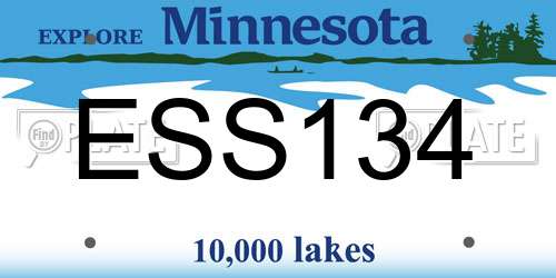 ESS134 Minnesota License Plate