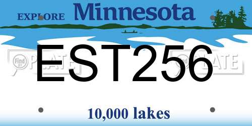 EST256 Minnesota License Plate