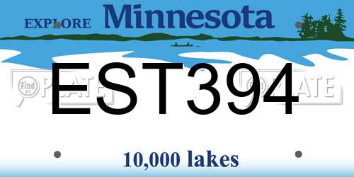 EST394 Minnesota License Plate
