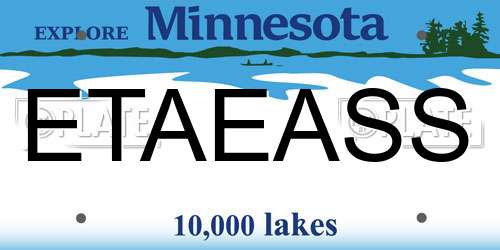 ETAEASS Minnesota License Plate