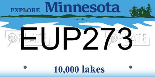 EUP273 Minnesota License Plate