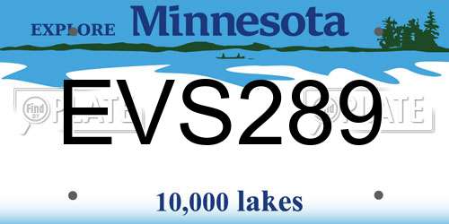 EVS289 Minnesota License Plate