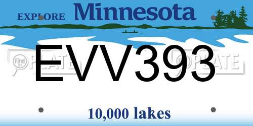 EVV393 Minnesota License Plate