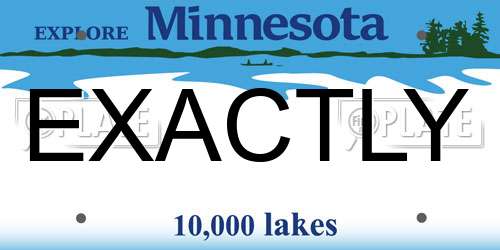 EXACTLY Minnesota License Plate