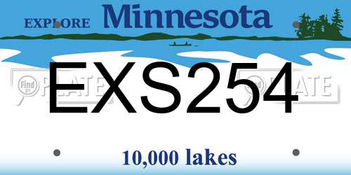 EXS254 Minnesota License Plate