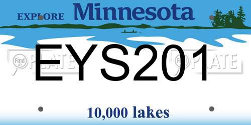 EYS201 Minnesota License Plate