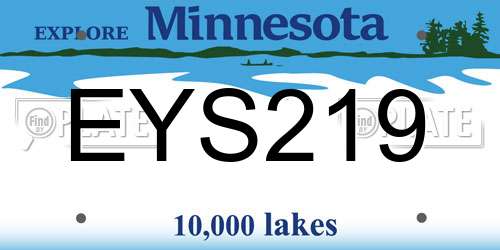 EYS219 Minnesota License Plate
