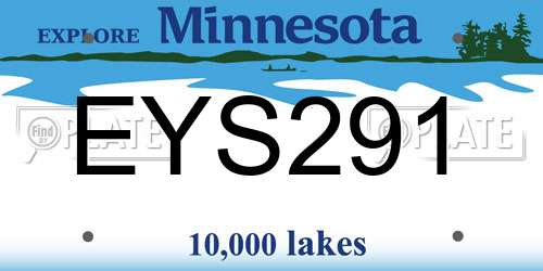 EYS291 Minnesota License Plate