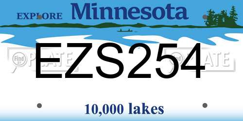 EZS254 Minnesota License Plate