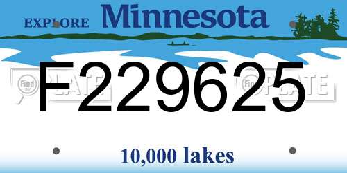 F229625 Minnesota License Plate