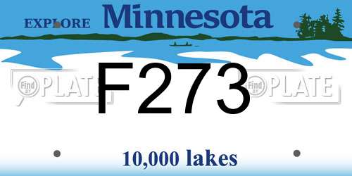 F273 Minnesota License Plate