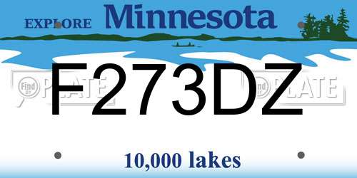F273DZ Minnesota License Plate