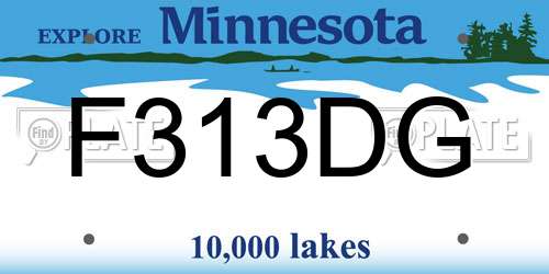 F313DG Minnesota License Plate