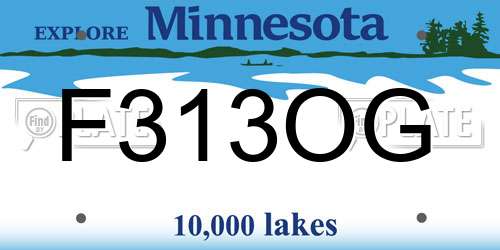 F313OG Minnesota License Plate