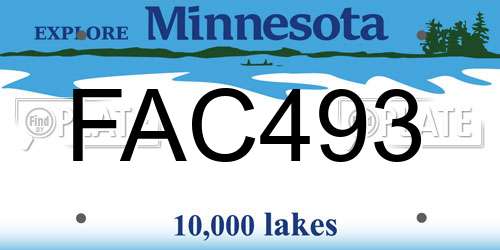 FAC493 Minnesota License Plate