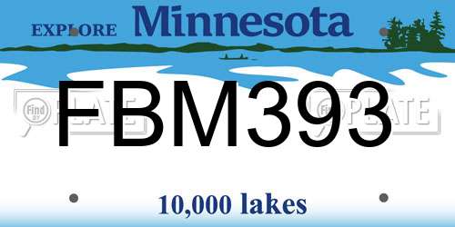FBM393 Minnesota License Plate