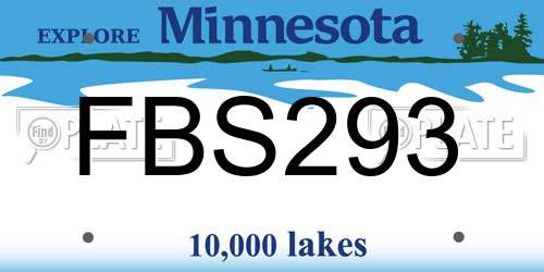 FBS293 Minnesota License Plate