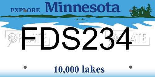 FDS234 Minnesota License Plate