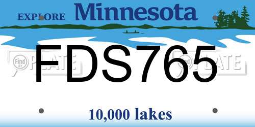 FDS765 Minnesota License Plate