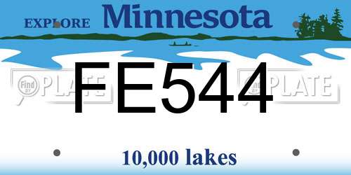FE544 Minnesota License Plate