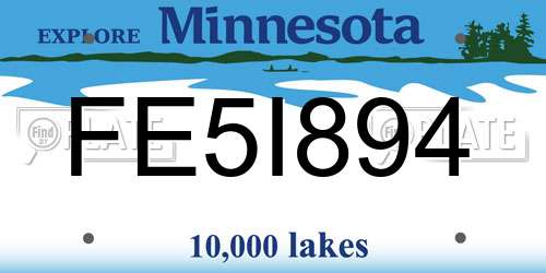 FE5I894 Minnesota License Plate