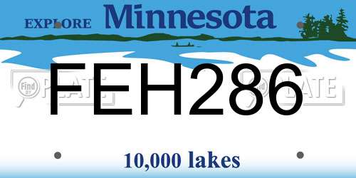 FEH286 Minnesota License Plate