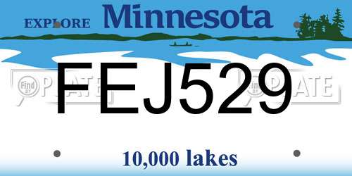 FEJ529 Minnesota License Plate