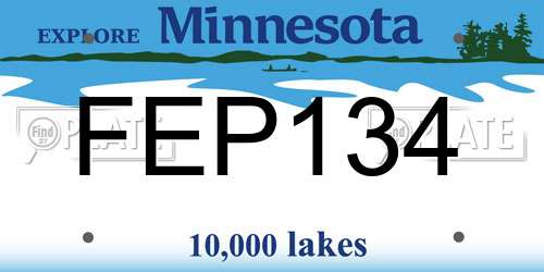 FEP134 Minnesota License Plate