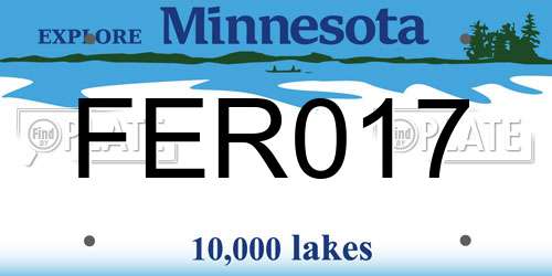 FER017 Minnesota License Plate