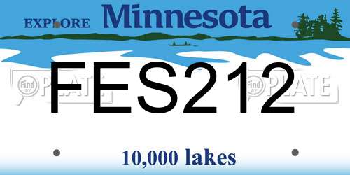 FES212 Minnesota License Plate