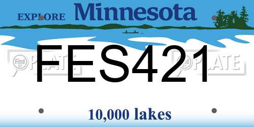 FES421 Minnesota License Plate