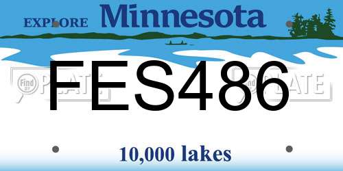 FES486 Minnesota License Plate