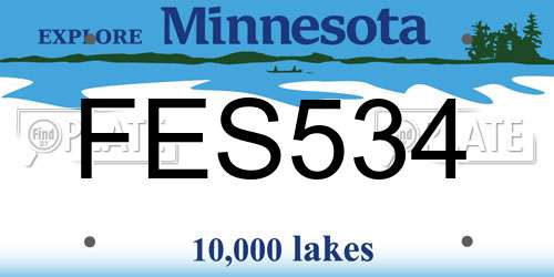 FES534 Minnesota License Plate