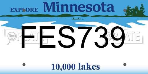 FES739 Minnesota License Plate