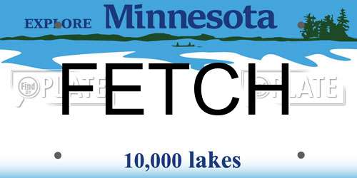 FETCH Minnesota License Plate