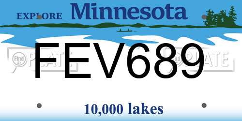 FEV689 Minnesota License Plate