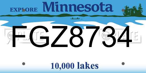 FGZ8734 Minnesota License Plate