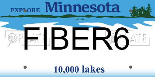 FIBER6 Minnesota License Plate