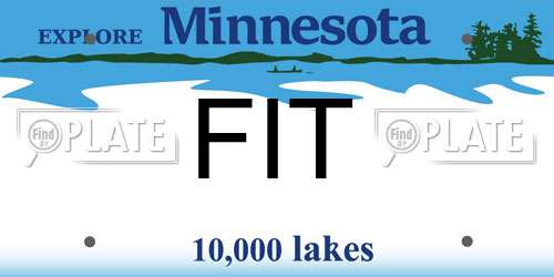 FIT Minnesota License Plate