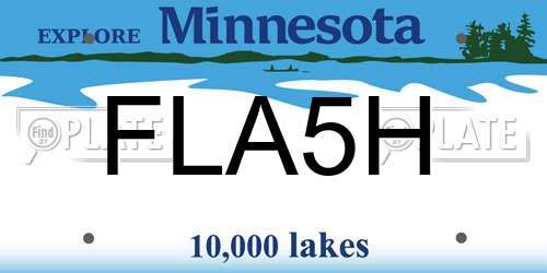 FLA5H Minnesota License Plate