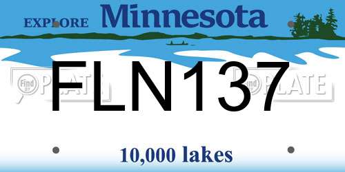 FLN137 Minnesota License Plate