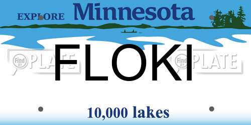 FLOKI Minnesota License Plate
